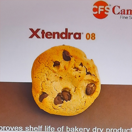 Xtendra 08 Manufacturer in Rajasthan, India, Haryana, Goa
